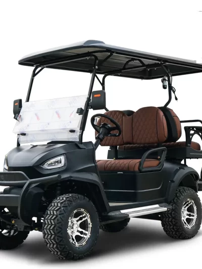 4 Passenger Electric Golf Cart