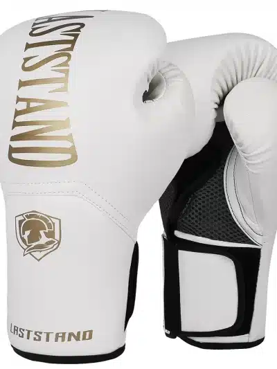 10oz & 12oz Boxing gloves