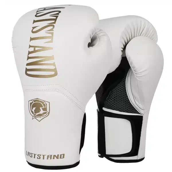 10oz & 12oz Boxing gloves