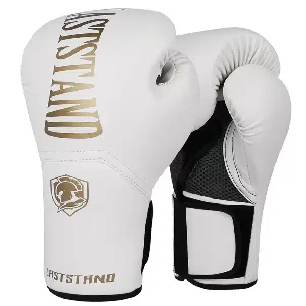 10oz & 12oz Boxing gloves - Image 8